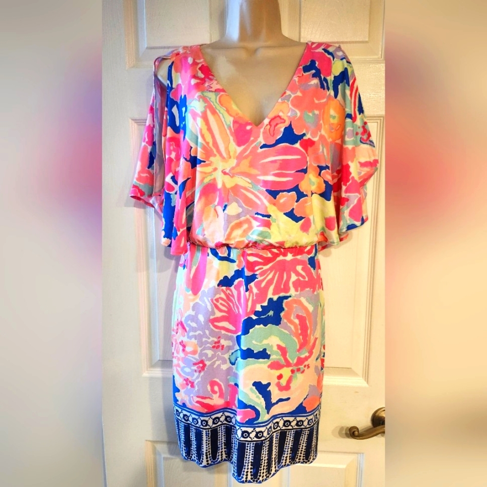 Lily Pulitzer Multi colored Dress